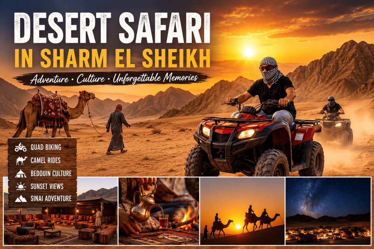 Safari na pustyni w Sharm El Sheikh: Kompletny przewodnik 2026
