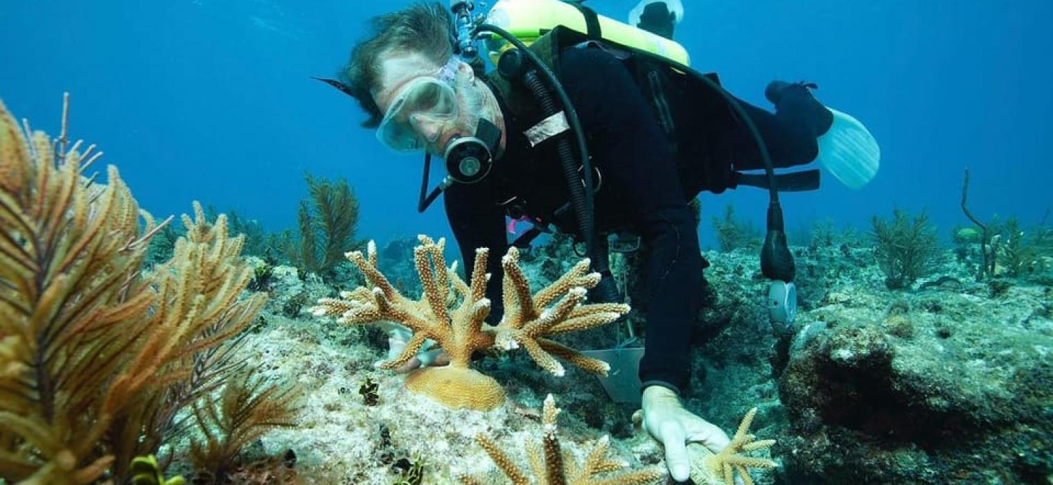 Hurghada