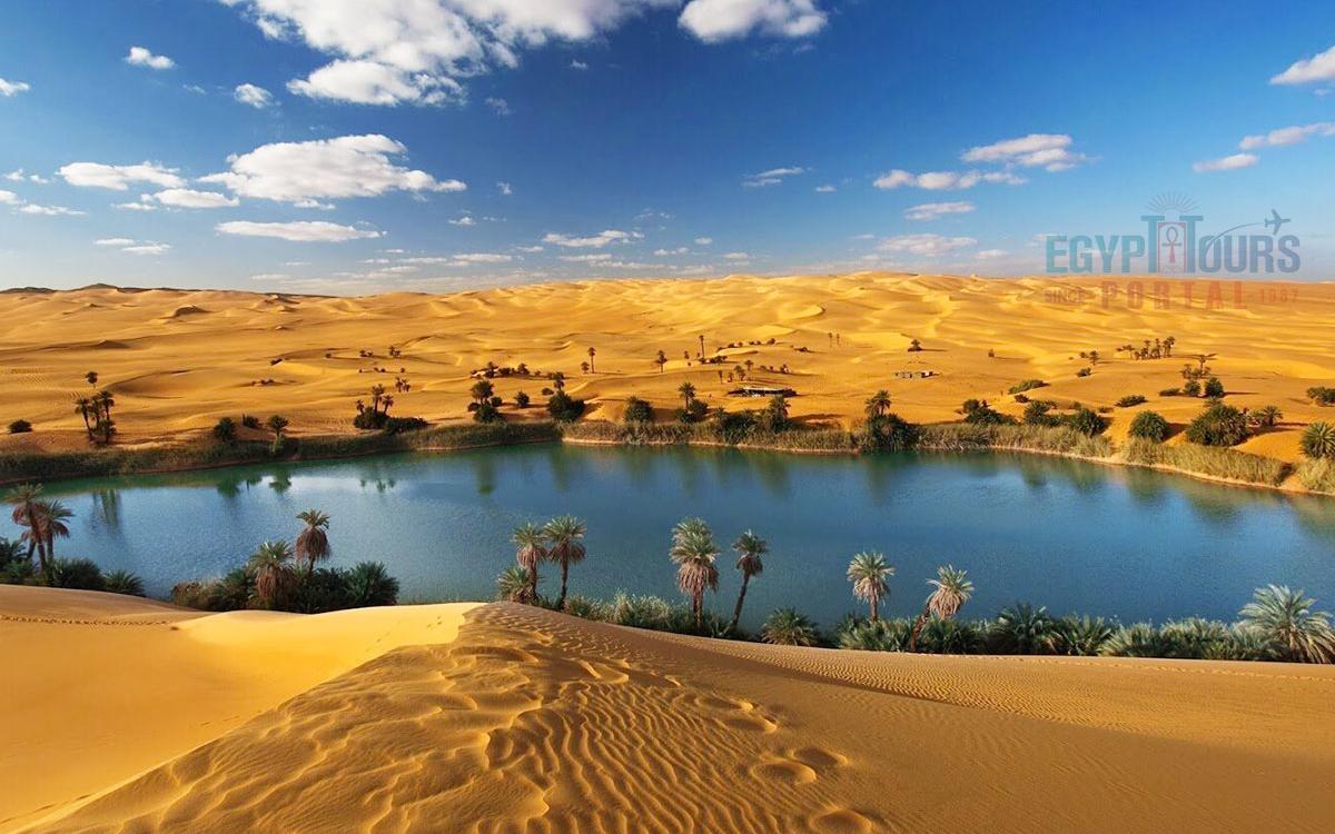 2-Day White Desert & Bahariya Oasis Safari from Cairo