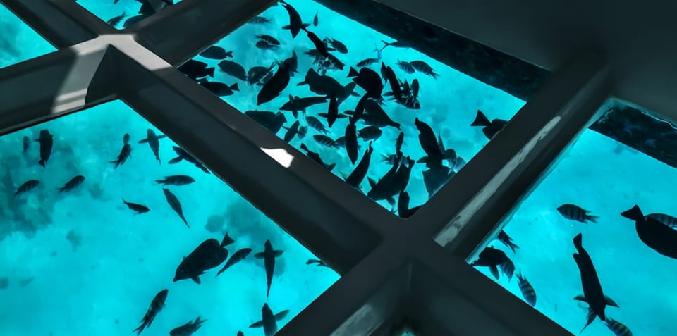 Glass Boat Tour in Sharm El Sheikh