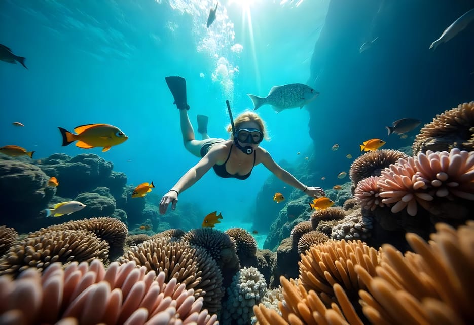 13Safari al Canyon Colorato e Snorkeling al Blue Hole da Sharm El Sheikh