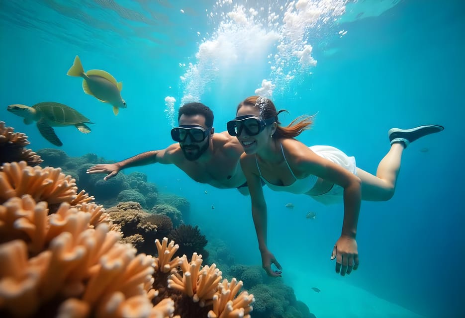 3Tiran Island Boat Trip in Sharm El Sheikh