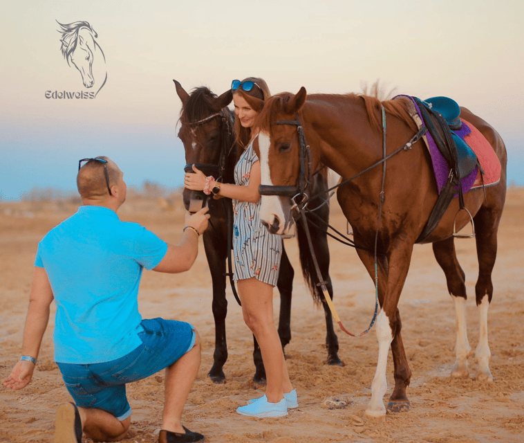4Horse Riding Safari in Sharm El Sheikh