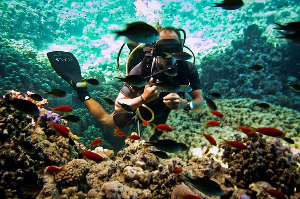 9Private Boat Trip in Red Sea – Snorkeling & BBQ (Private Yacht)
